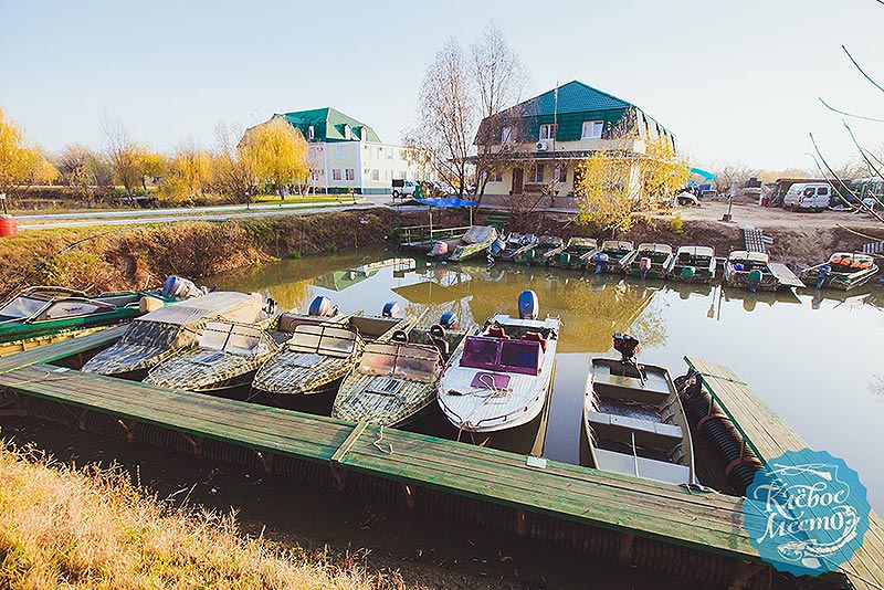 Кафе клева. Рыболовная база село Затон Астраханская область. Рыболовная база в Астрахани клевое место. Клёвое место, село Затон. Место встречи Астрахань рыболовная база в Астраханской.