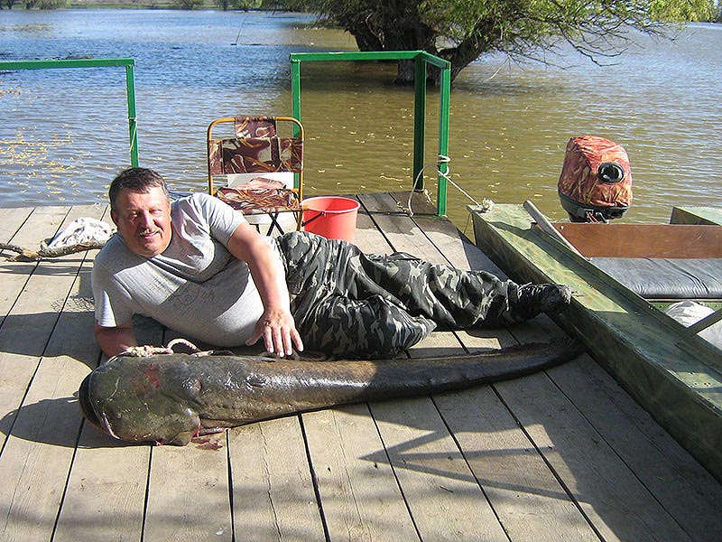 Рыбалка на Волге. Астрахань рыболовные базы, Волга отдых.